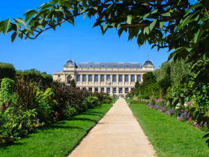 Stroll 29 Jardin des Plantes